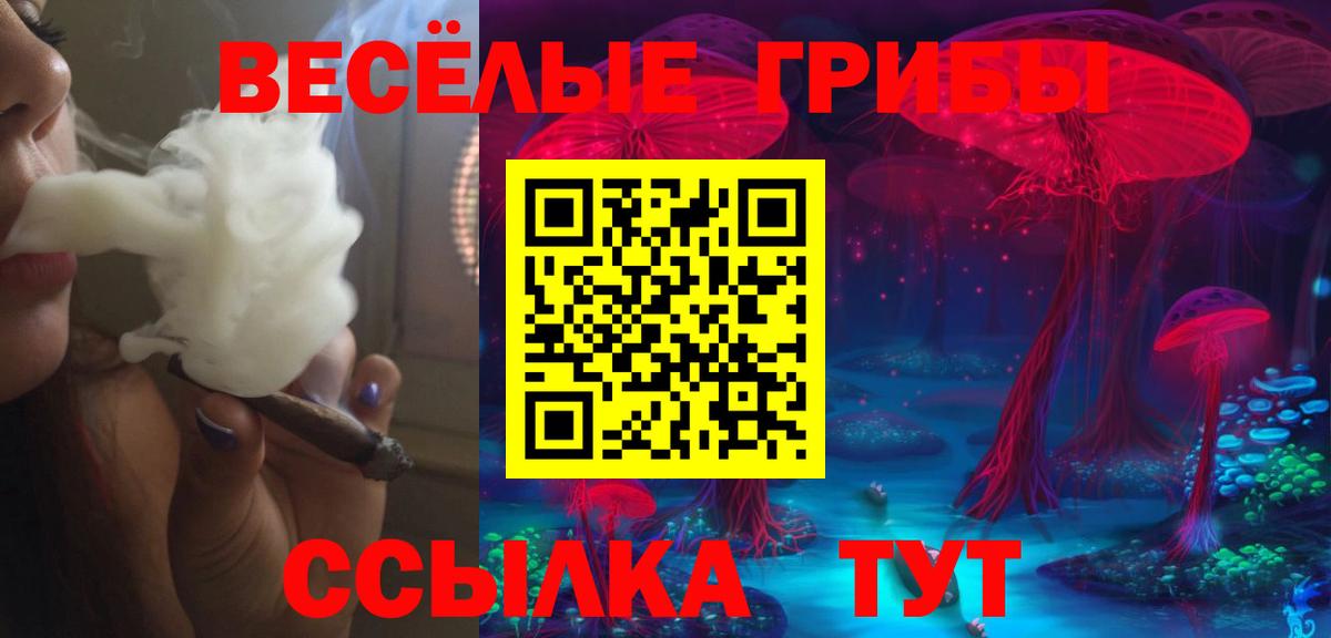 Псилоцибиновые грибы ЛСД  Вход с VPN  купить наркотик  Серов 